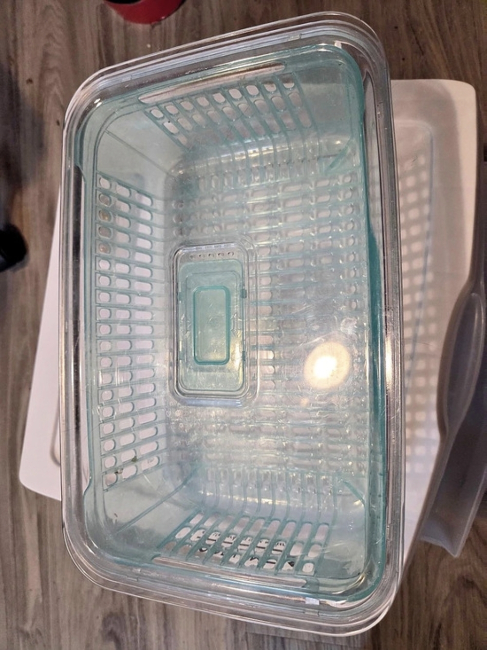 Rubbermaid FreshWorks Produce Saver Container Storage Organizer Basket in Green